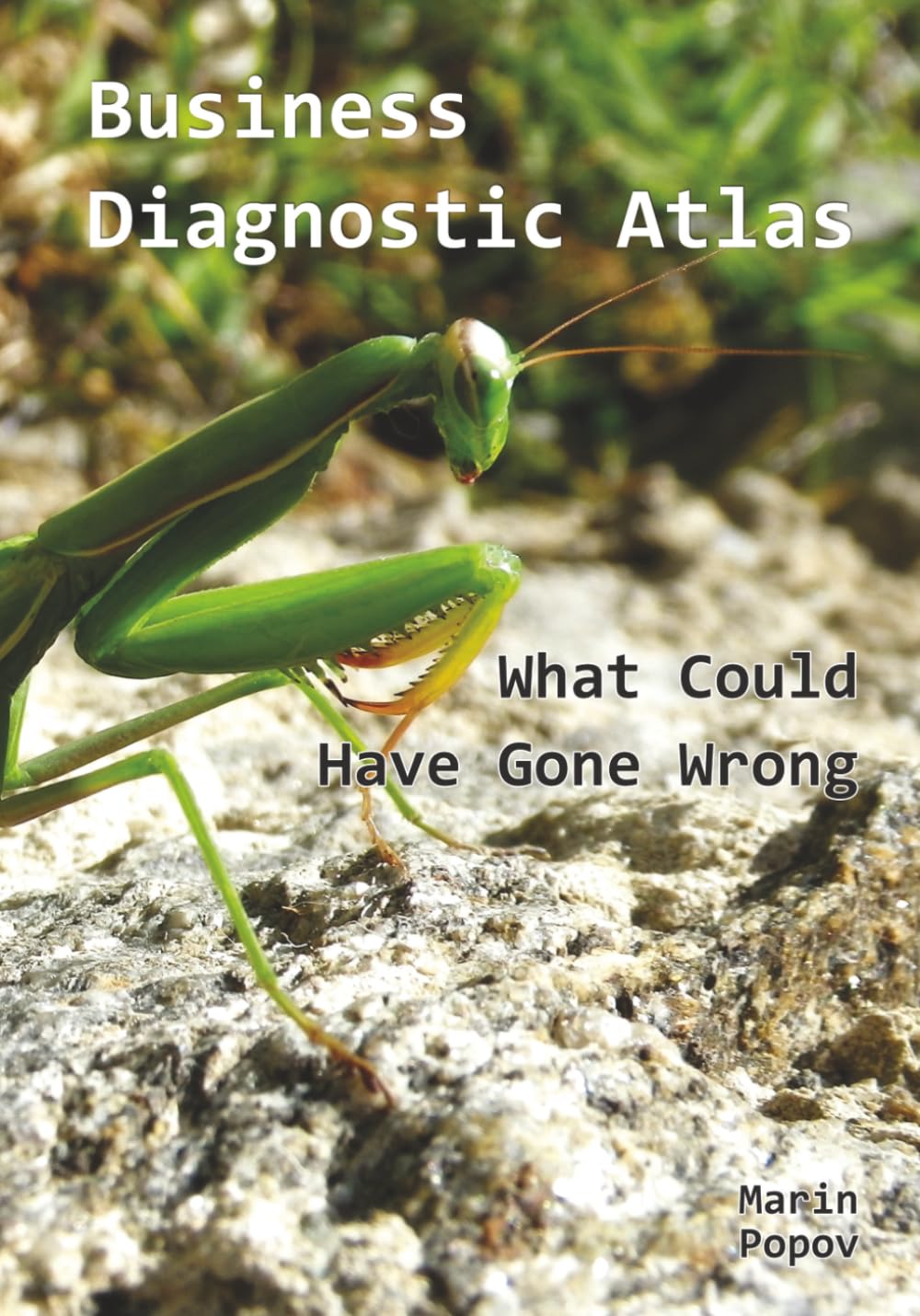 Business Diagnostic Atlas