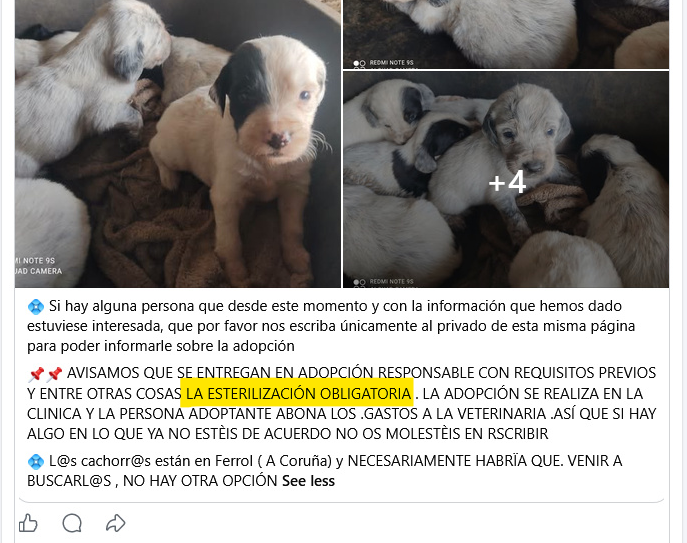 or adoption to be responsible according to the law, the animals should be castrated before adoption